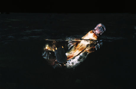 Titanic main image 1