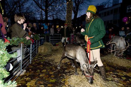 Angie Flint of Real Reindeer Ltd Presents her Reindeer At The Highgate Christmas Village Festival 2012, London, Britain - 17 Nov 2012
