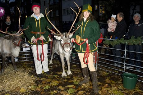 Angie Flint of Real Reindeer Ltd Presents her Reindeer At The Highgate Christmas Village Festival 2012, London, Britain - 17 Nov 2012