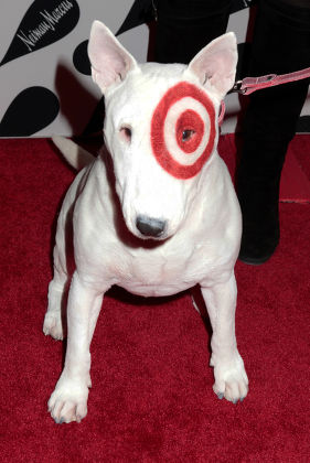 why is targets mascot a dog