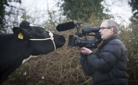 'The Moo Man' documentary film, Hailsham, Sussex, Britain - 10 Jan 2013