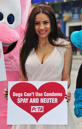 Lacey Banghard Editorial Stock Photo - Stock Image | Shutterstock