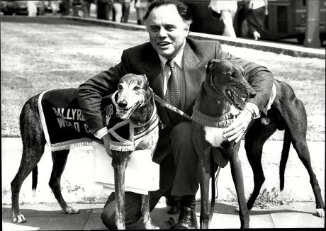 Politician Mp Richard Page With Greyhound Dogs Richard Lewis Page (born 22 February 1941 In Tredegar) Is A Former Conservative Member Of Parliament (mp) In The United Kingdom From 1976 To 1979 And From December 1979 To 2005.