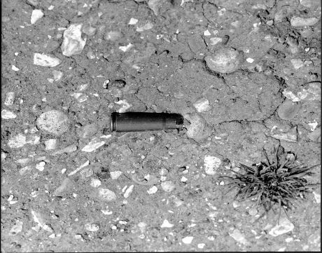 A Spent Cartridge From The Rifle Used By Murderer Michael Ryan. The Hungerford Massacre On 19 August 1987. The Gunman 27-year-old Michael Robert Ryan Armed With Two Semi-automatic Rifles And A Handgun Shot And Killed Sixteen People Including His Moth