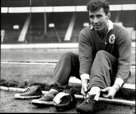 Portugal Goalkeeper Costa Pereira Alberto Da Editorial Stock Photo ...