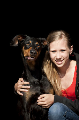 250 Doberman pinscher Stock Pictures, Editorial Images and Stock Photos ...