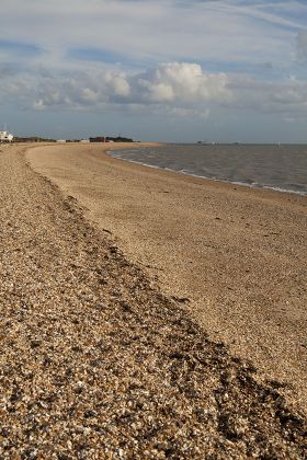 Sweep Stokes Bay Pebble Beach Alverstoke Editorial Stock Photo - Stock ...