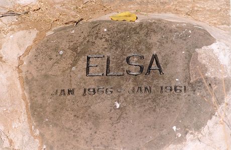 Meru Kenya The Place Where George Adamson Released 'elsa' The Lion Star Of Film 'born Free' Back Into The Wild. Picture Shows 'elsa's' Grave In Meru Kenya.