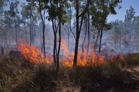 250 Kakadu National Park Stock Pictures, Editorial Images And Stock 