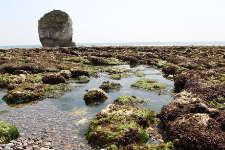 97 Freshwater bay Stock Pictures, Editorial Images and Stock Photos