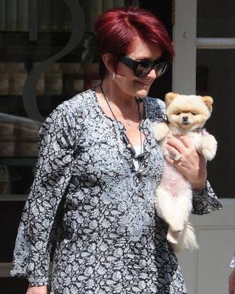 Sharon Osbourne Her Pomeranian Dog Mr Editorial Stock Photo - Stock
