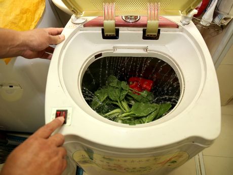 haier vegetable washing machine