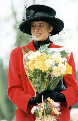 750 Princess diana 1993 Stock Pictures, Editorial Images and Stock ...