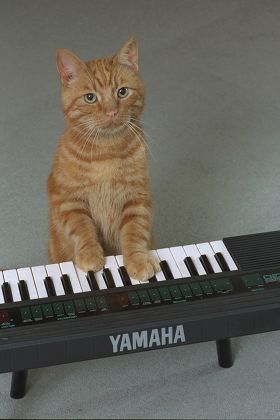 yamaha keyboard 1995