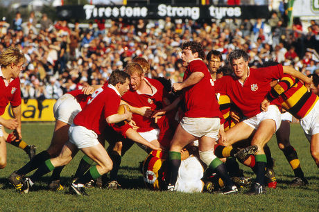 Rugby Union 1983 British Lions Tour Editorial Stock Photo Stock Image