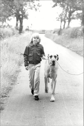 Ricky Schroeder Child Actor With His Great Dane Dog.