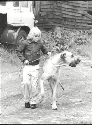 Ricky Schroeder Child Actor With His Great Dane Dog.