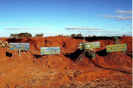 28 Hunzvi Stock Pictures, Editorial Images and Stock Photos Shutterstock