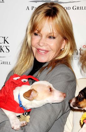 Melanie Griffith Editorial Stock Photo - Stock Image | Shutterstock