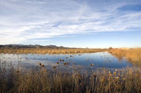 500 Bosque del apache national wildlife refuge Stock Pictures