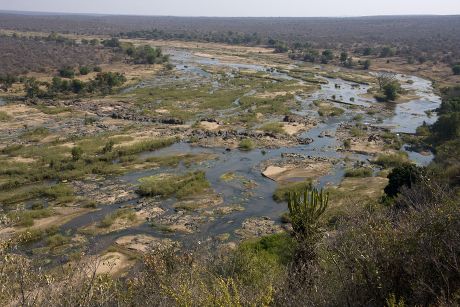 1 Krugar national park Stock Pictures, Editorial Images and Stock ...