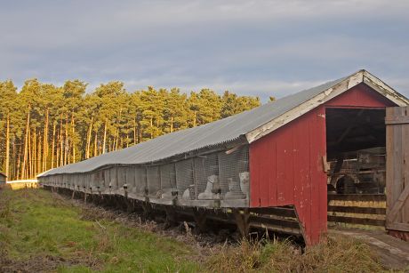 45 Fox farming Stock Pictures, Editorial Images and Stock Photos