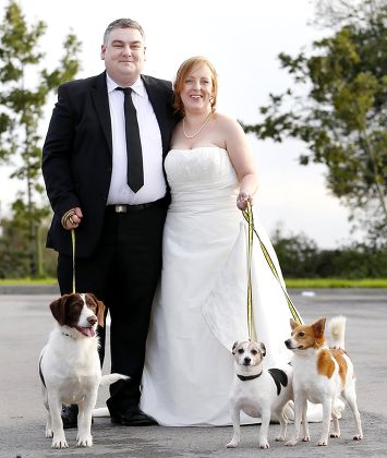 Couple get married at Dogs Trust Rehoming Centre with their three dogs in attendance, Ireland - 01 Nov 2013