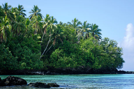 Rarotonga news tsunami