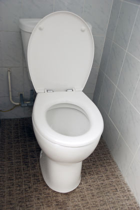 Toilet Ariel Corner Litter Tray and Scoop - Light Orange main image 1