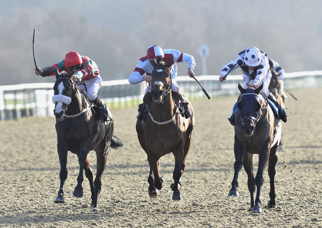 Horse Racing From Lingfield Park, Surrey, Britain - 22 Jan 2014