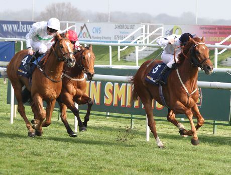 Horse Racing, Britain - 29 Mar 2014