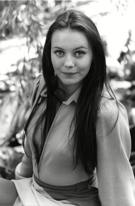 Lesley Anne Down Editorial Stock Photo - Stock Image | Shutterstock