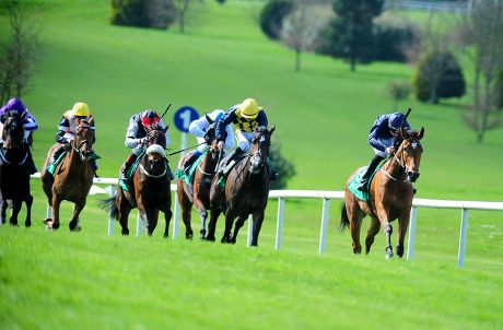 Horse Racing - 12 Apr 2014 Stock Pictures, Editorial Images and Stock ...