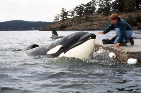 Free Willy 2: The Adventure Home - 1995
