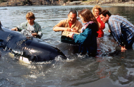 Free Willy 2: The Adventure Home - 1995