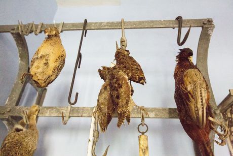 250 Meat hook Stock Pictures, Editorial Images and Stock Photos