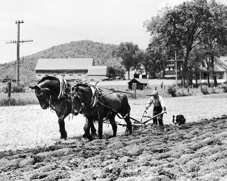17 Horse drawn plow Stock Pictures, Editorial Images and Stock Photos ...
