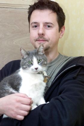 62 Cat accident Stock Pictures, Editorial Images and Stock Photos ...