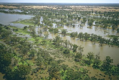 Flooded River Murray Floodplain River Red Editorial Stock Photo - Stock ...