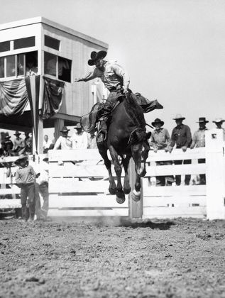 54 Bucking horses Stock Pictures, Editorial Images and Stock Photos ...