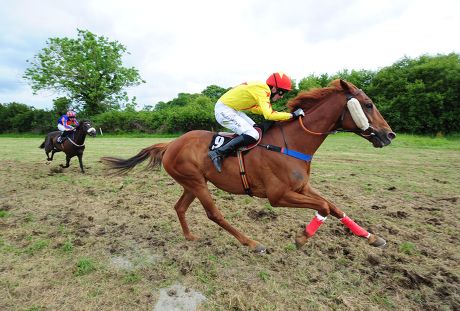 Horse Racing - 22 Jun 2014