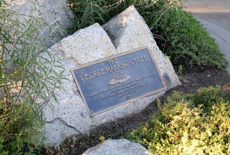 George Harrison memorial tree, Griffith Park, Los Angeles, America - 22 Jul 2014