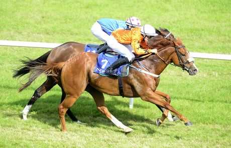 Horse Racing - 4 Aug 2014 Stock Pictures, Editorial Images and Stock ...