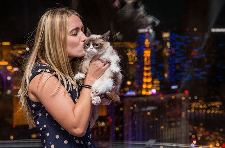 Grumpy Cat in Las Vegas, America - 05 Aug 2014