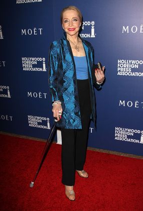 Hollywood Foreign Press Association Installation Dinner, Los Angeles, America - 14 Aug 2014