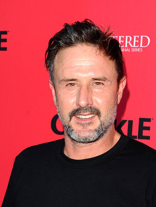 David Arquette Editorial Stock Photo - Stock Image | Shutterstock