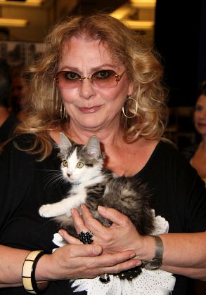 'You Can't Take it with You' Kitten Auditions, New York, America - 18 Aug 2014