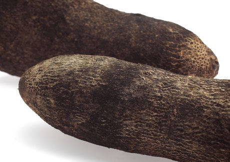 Yam Dioscorea Sp Editorial Stock Photo - Stock Image | Shutterstock