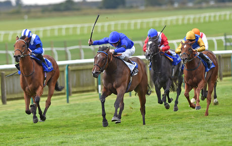 Horse Racing from Newmarket, Britain - 26 Sep 2014