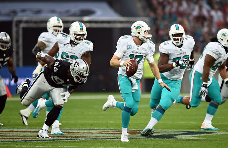 2014 International Series: Dolphins Raiders